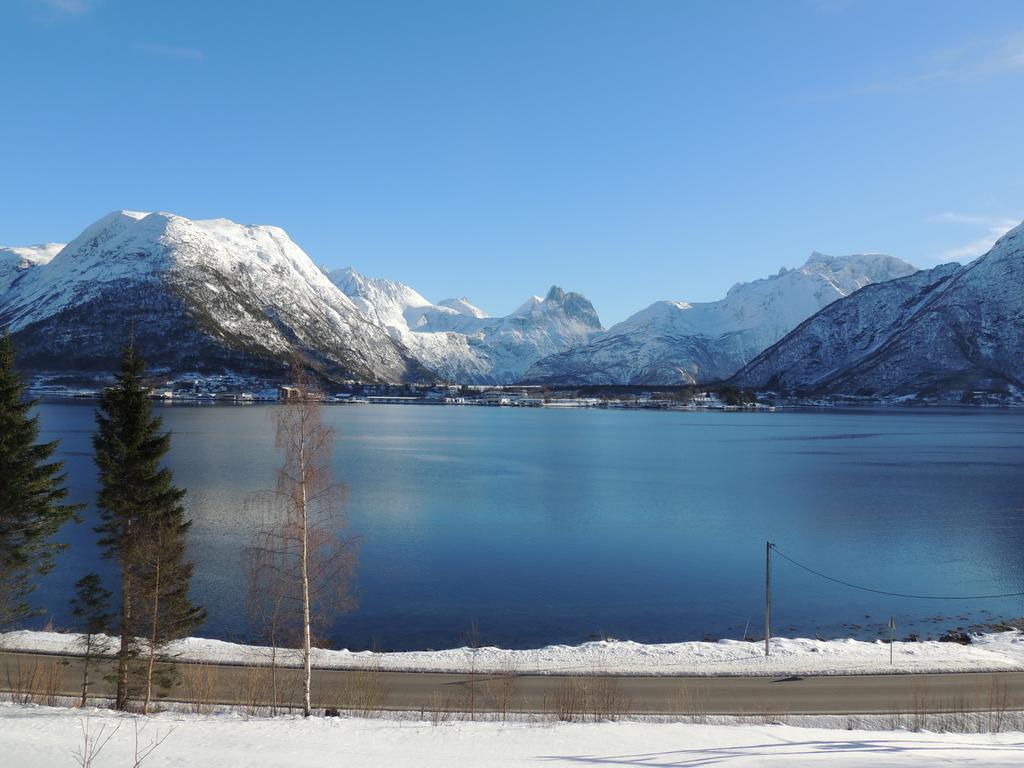 فيلا Tindelykke Isfjorden المظهر الخارجي الصورة