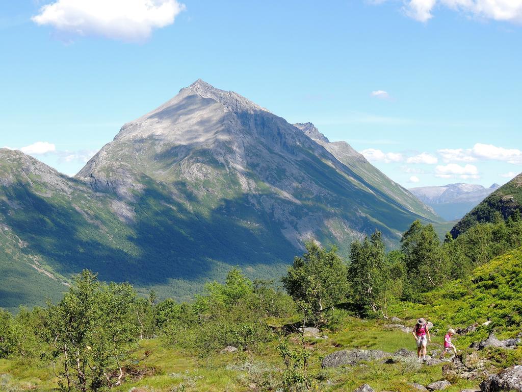 فيلا Tindelykke Isfjorden المظهر الخارجي الصورة